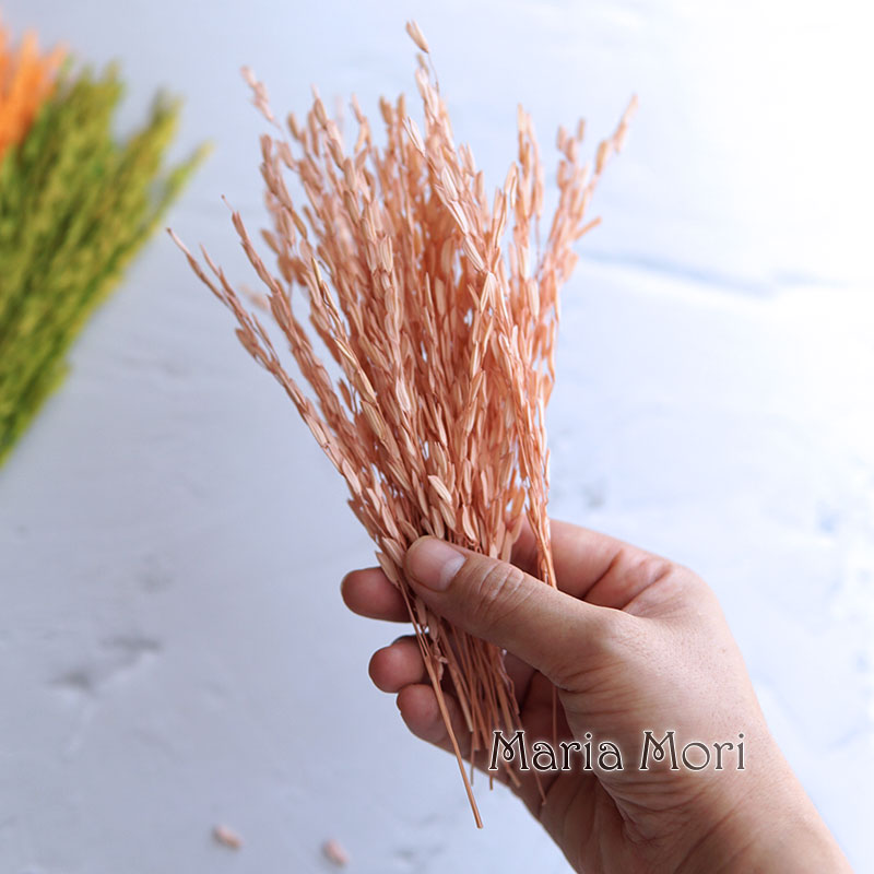 Dried Flower Bunch - 5g/Broomcorn Dyed Dried Nature Flowers Bleached