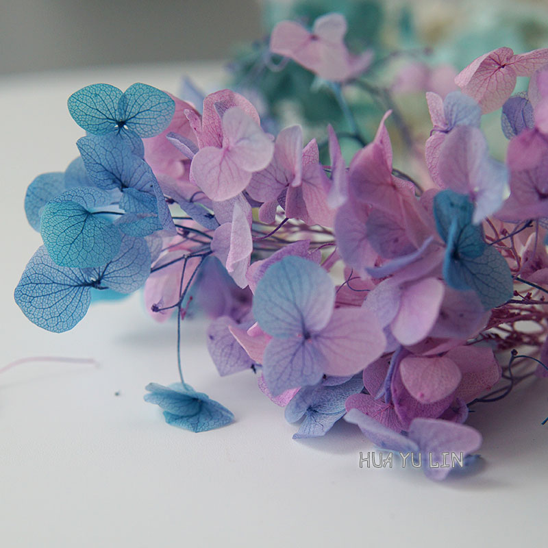 Dried Flower Bunch - Ombre Gradient Dried Preserved Hydrangea Flower