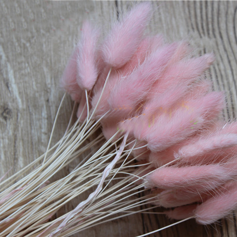 50pcs dried natural flower bou - Dried Flower Bunch review and price