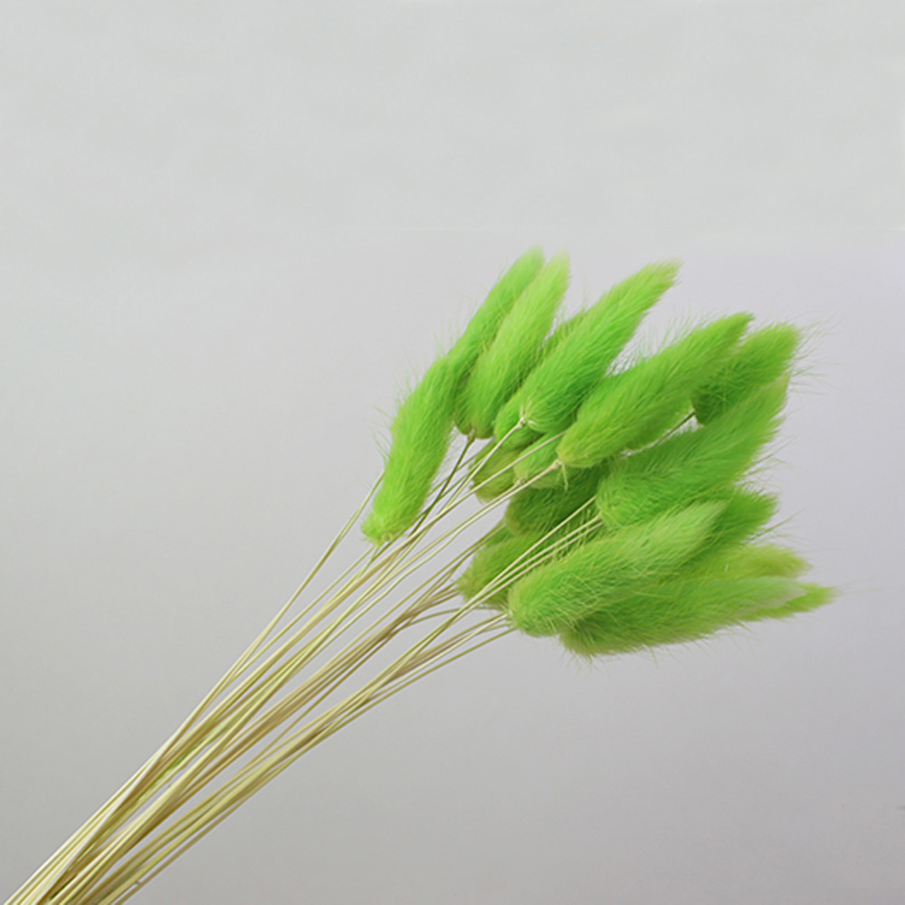 50pcs dried natural flower bou - Dried Flower Bunch review and price