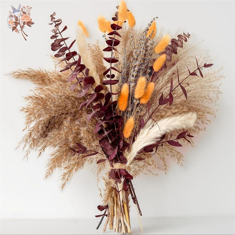 75PCS Dried Pampas Eucalyptus  - Dried Flower Bunch review and price