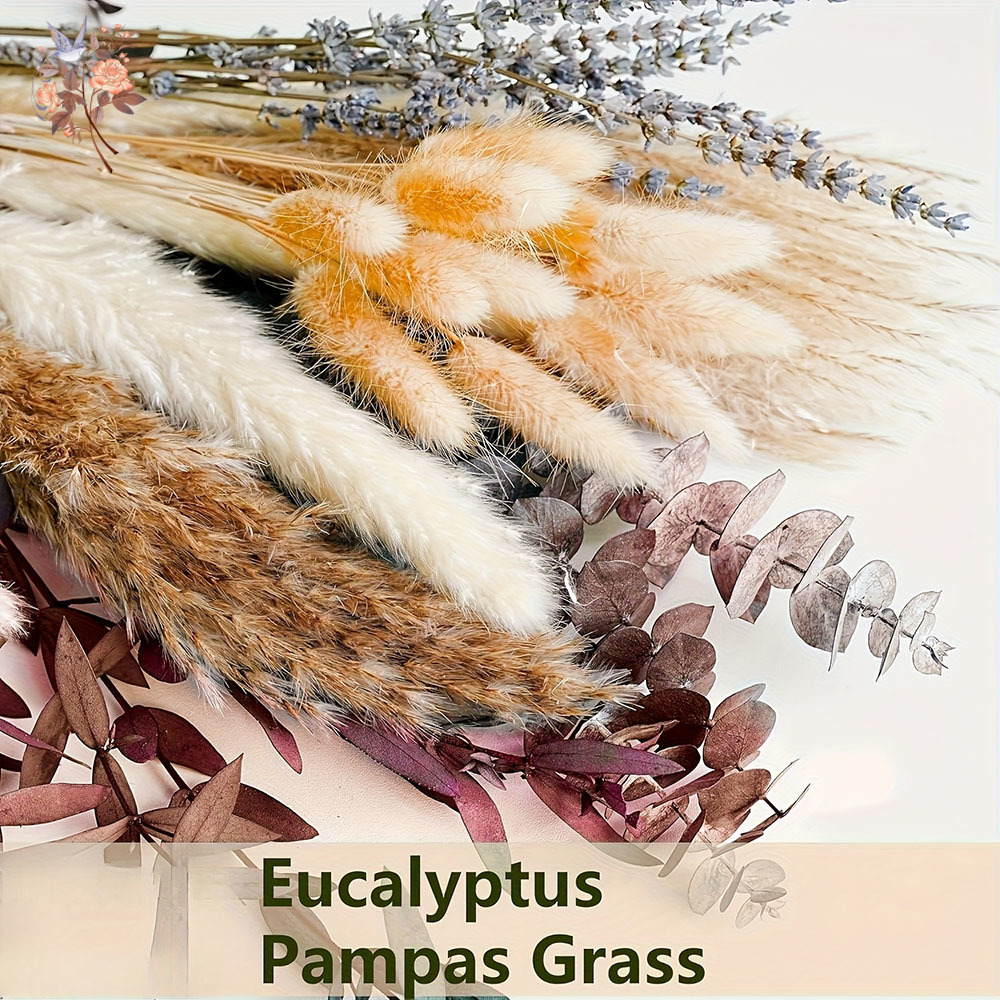 75PCS Dried Pampas Eucalyptus  - Dried Flower Bunch review and price