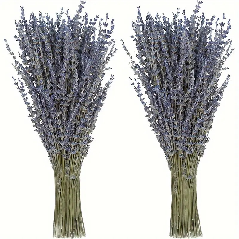 200pcs/Bunch Lavender Dried Fl - Dried Flower Bunch review and price