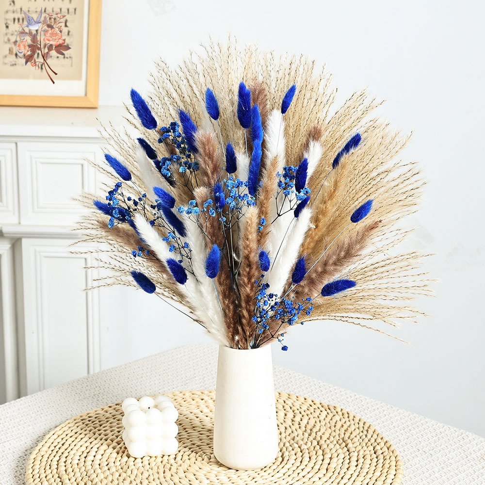 70 Stem Blue Fluffly Rabbit Ta - Dried Flower Bunch review and price