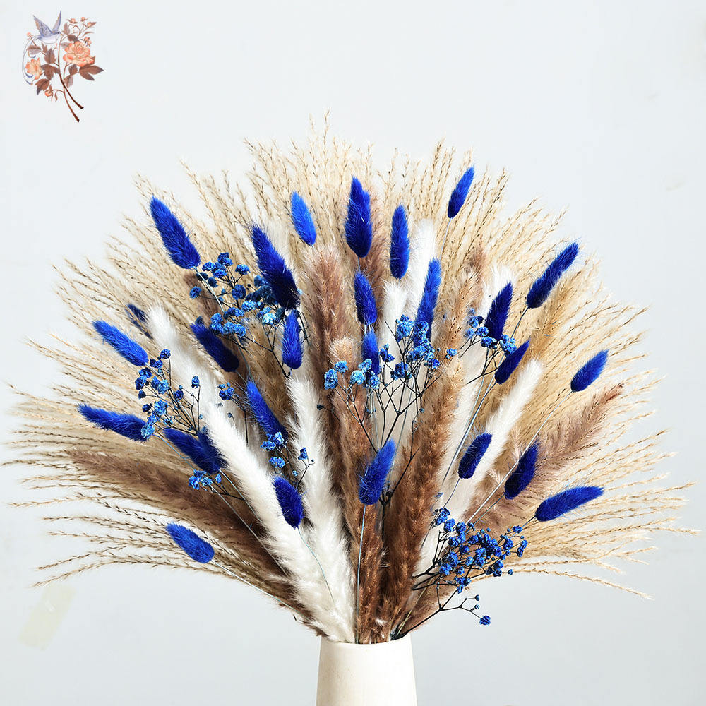 70 Stem Blue Fluffly Rabbit Ta - Dried Flower Bunch review and price