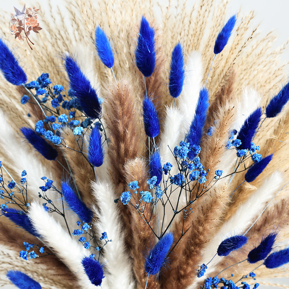 70 Stem Blue Fluffly Rabbit Ta - Dried Flower Bunch review and price