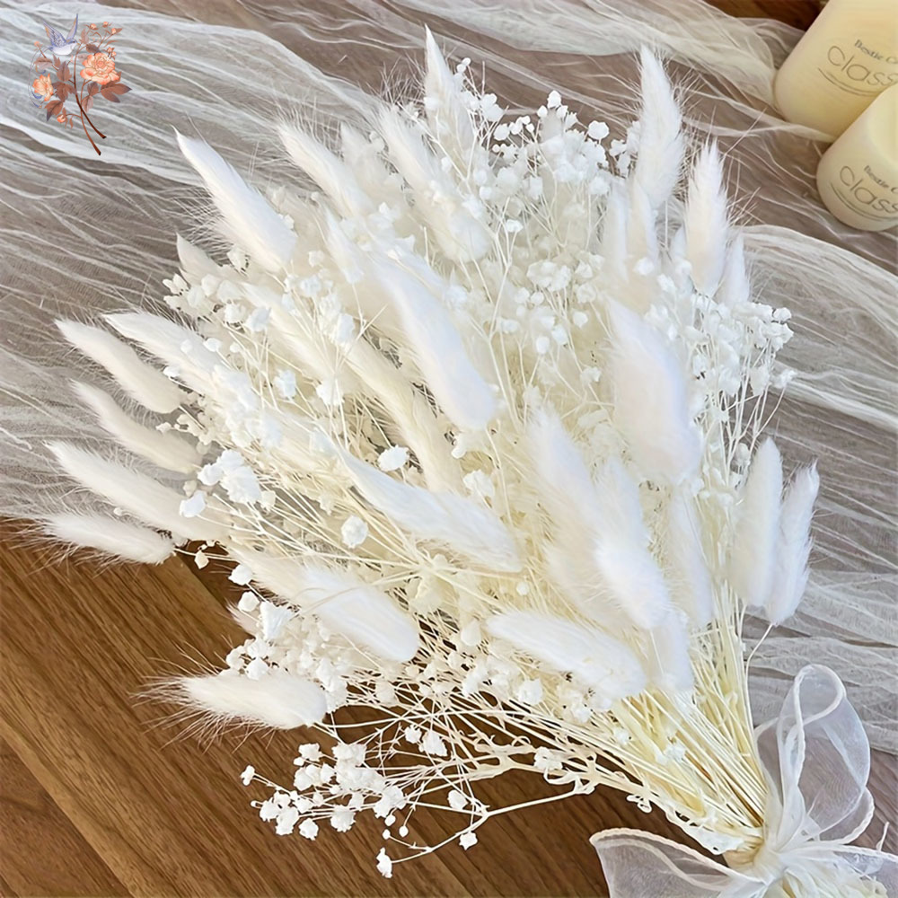 54Pcs White Dried Flower Brida - Dried Flower Bunch review and price
