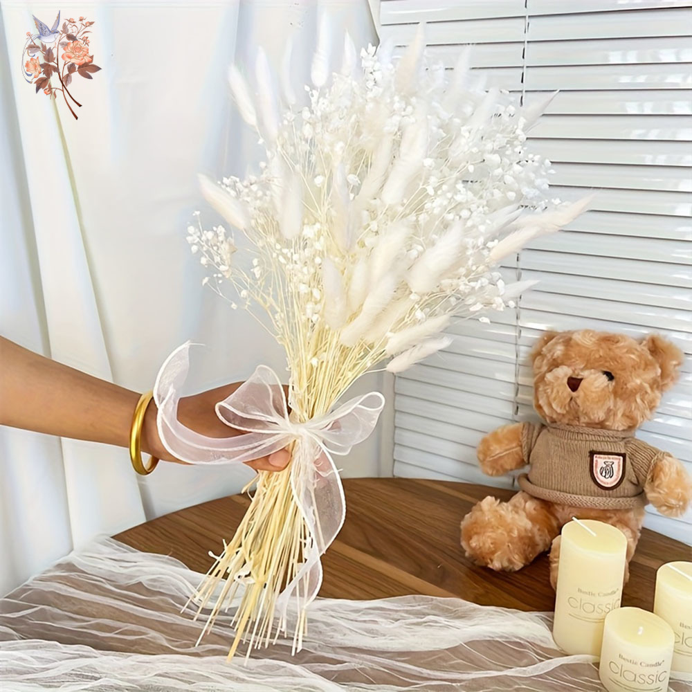 54Pcs White Dried Flower Brida - Dried Flower Bunch review and price