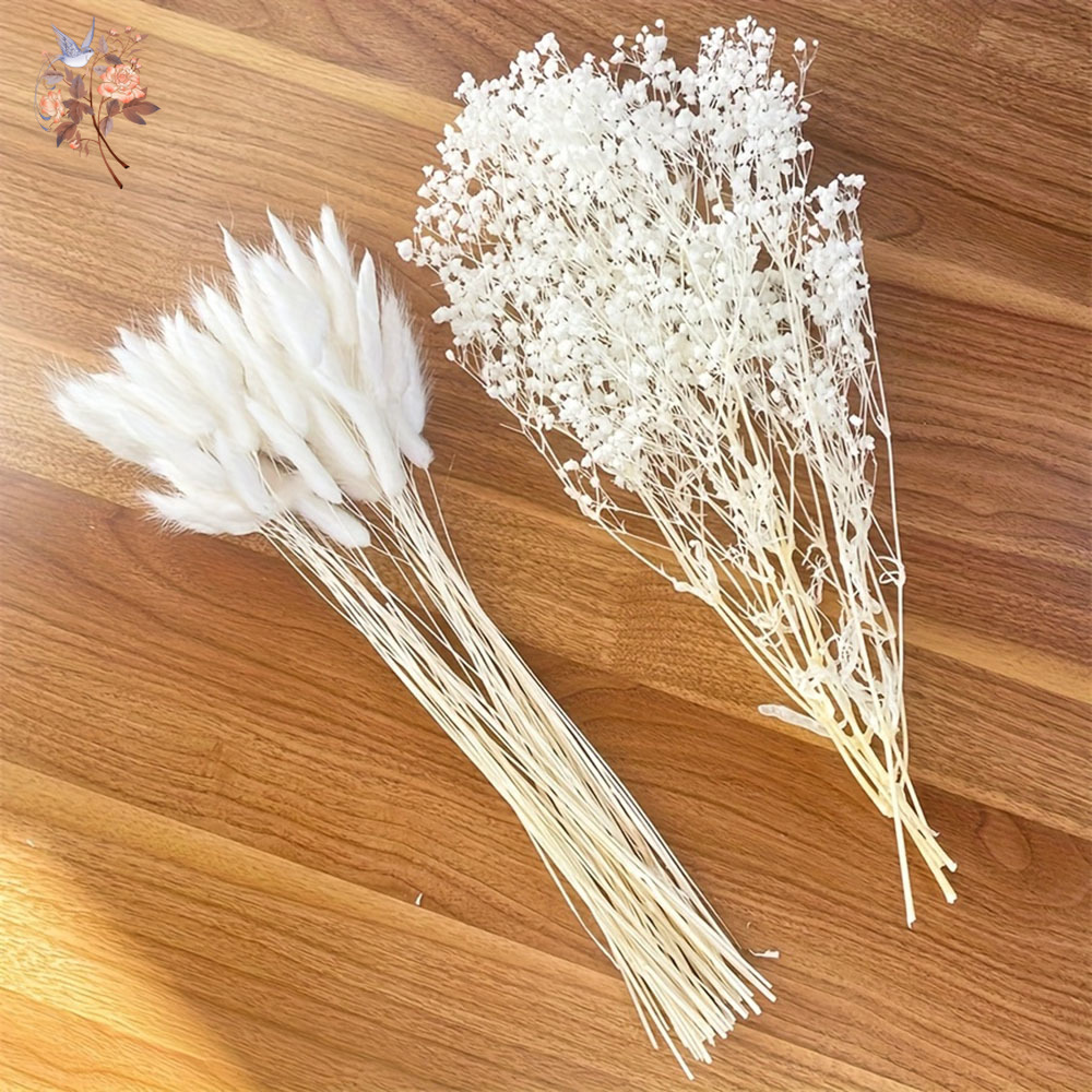 54Pcs White Dried Flower Brida - Dried Flower Bunch review and price