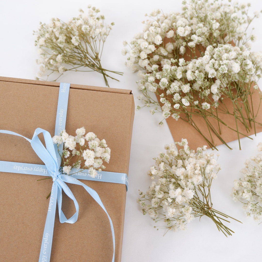 Dried Flowers White Mini Dried - Baby Breath Dried review and price