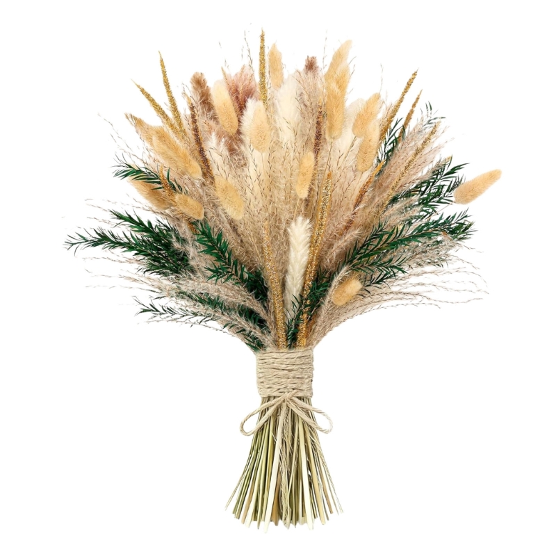 Bulk 100PCS Dried Pampas Grass - Dried Flower Bunch review and price