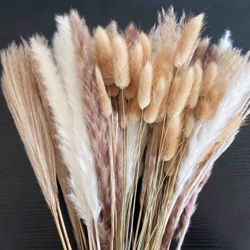 Bulk 100PCS Dried Pampas Grass - Dried Flower Bunch review and price