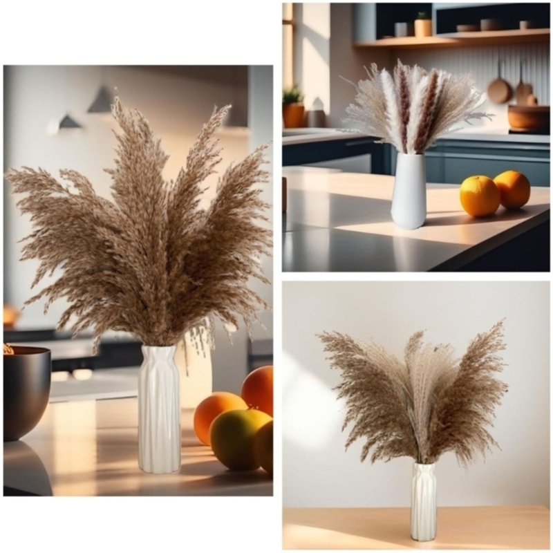 Bulk 100PCS Dried Pampas Grass - Dried Flower Bunch review and price