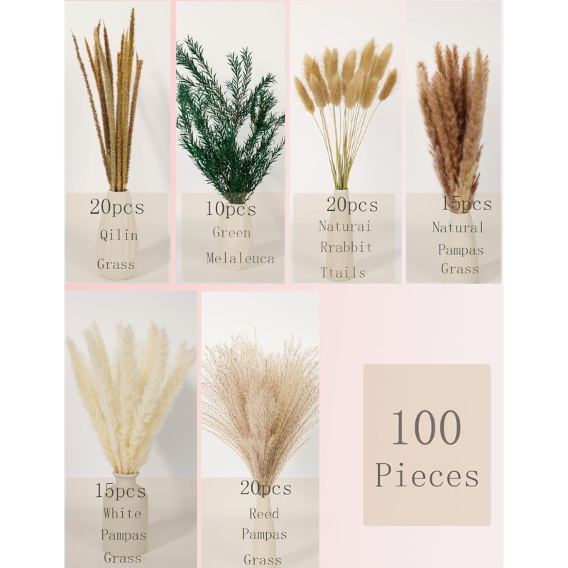 Bulk 100PCS Dried Pampas Grass - Dried Flower Bunch review and price