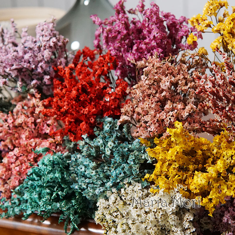 5g/ Colorful Dired Preserved C - Dried Flower Bunch review and price
