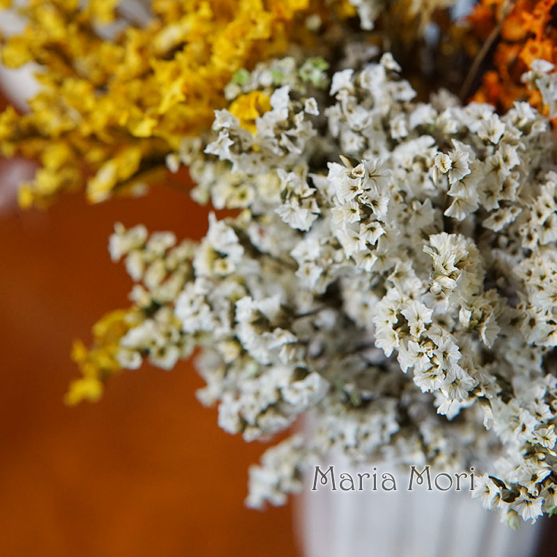 5g/ Colorful Dired Preserved C - Dried Flower Bunch review and price