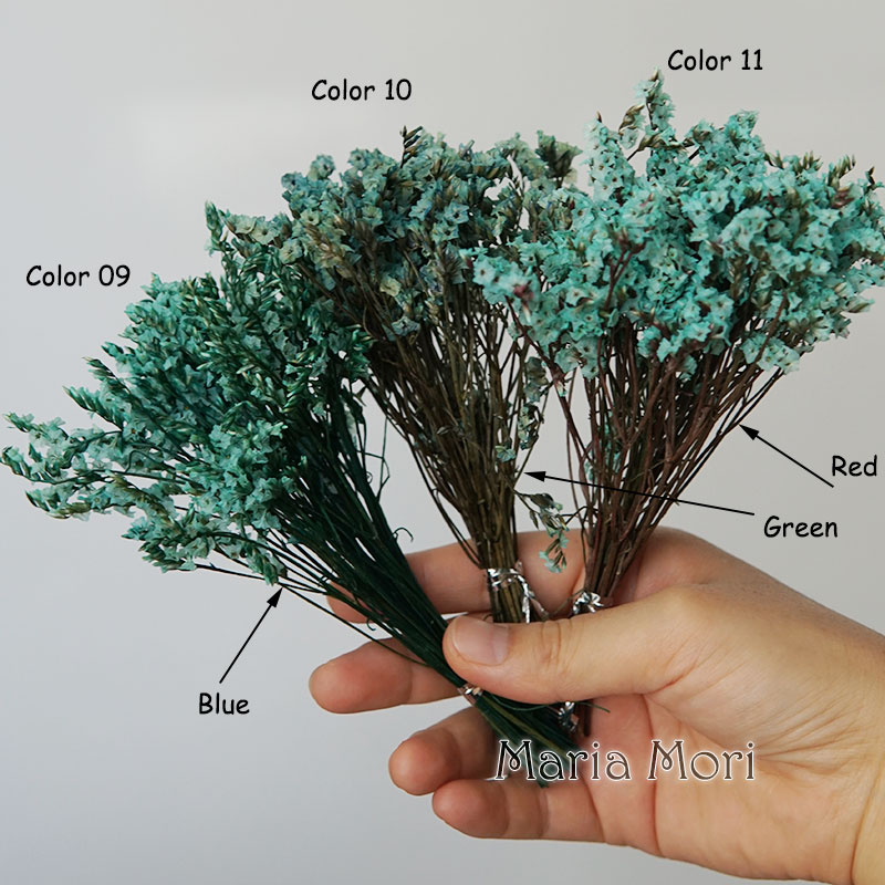 5g/ Colorful Dired Preserved C - Dried Flower Bunch review and price