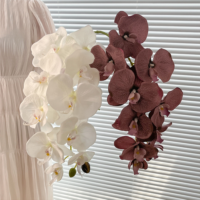 35.4inch Retro Large Butterfly - Baby Breath Dried review and price