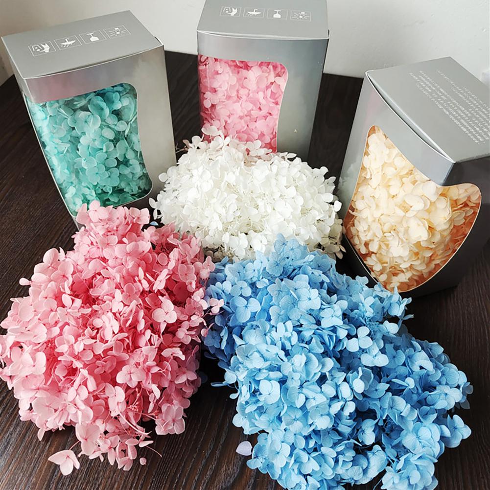 1 Box Hydrangea Dried Flowers  - Dried Flower Bunch review and price