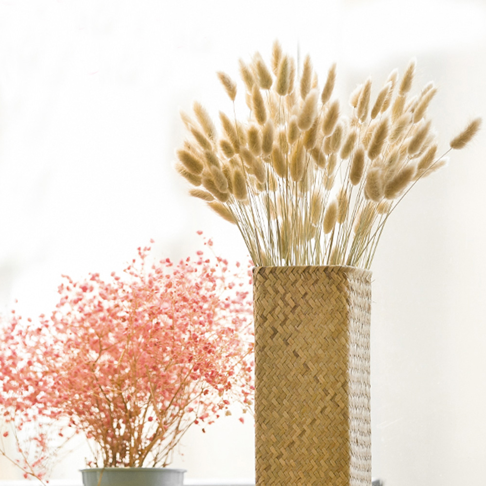 200pcs natural dried Lagurus o - Dried Flower Bunch review and price
