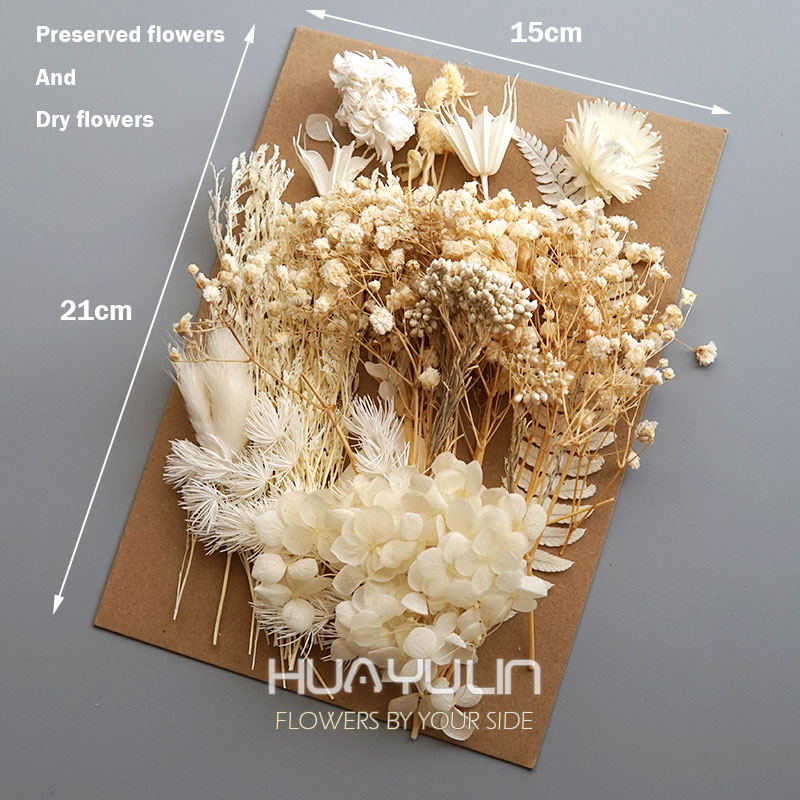 1 Pack Artificial Plants Dried - Dried Flower Bunch review and price