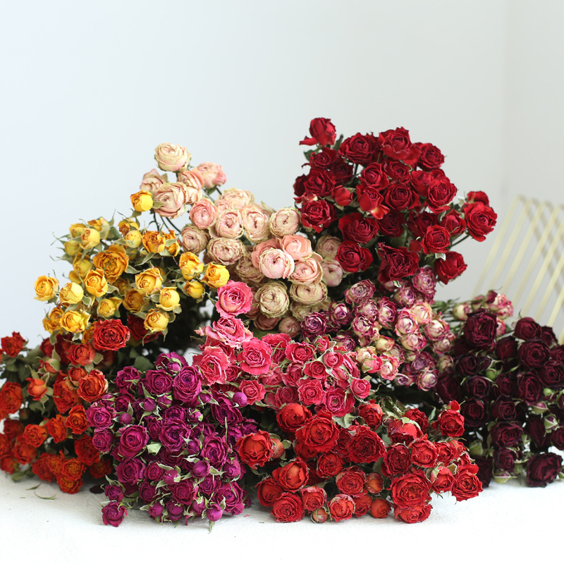 A Lot Small Rose, Decorative N - Dried Flower Bunch review and price