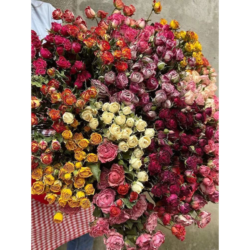 A Lot Small Rose, Decorative N - Dried Flower Bunch review and price