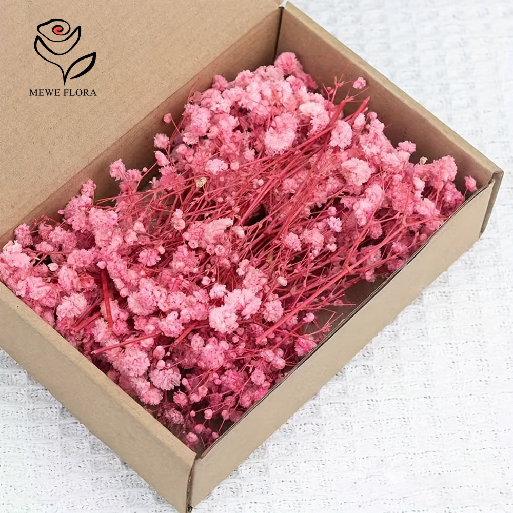 100 Small Branch Dried Baby's  - Dried Flower Bunch review and price