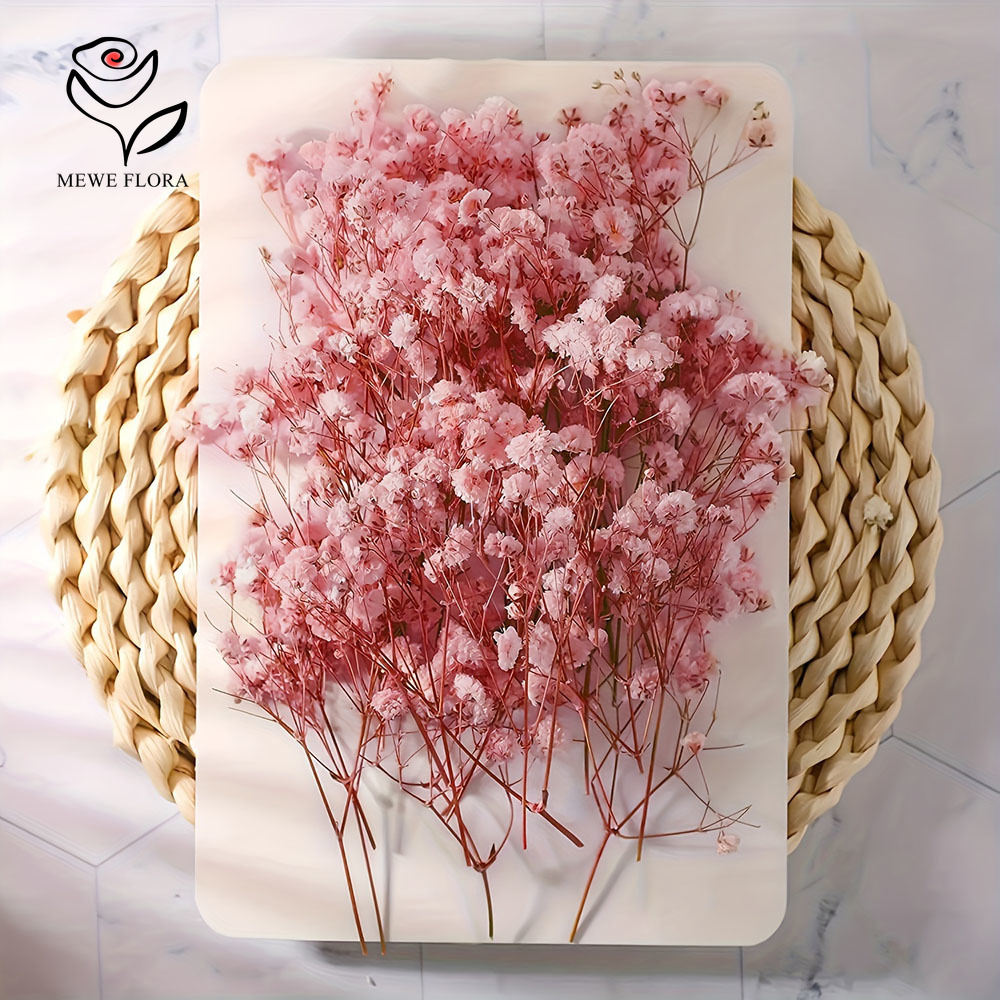 100 Small Branch Dried Baby's  - Dried Flower Bunch review and price