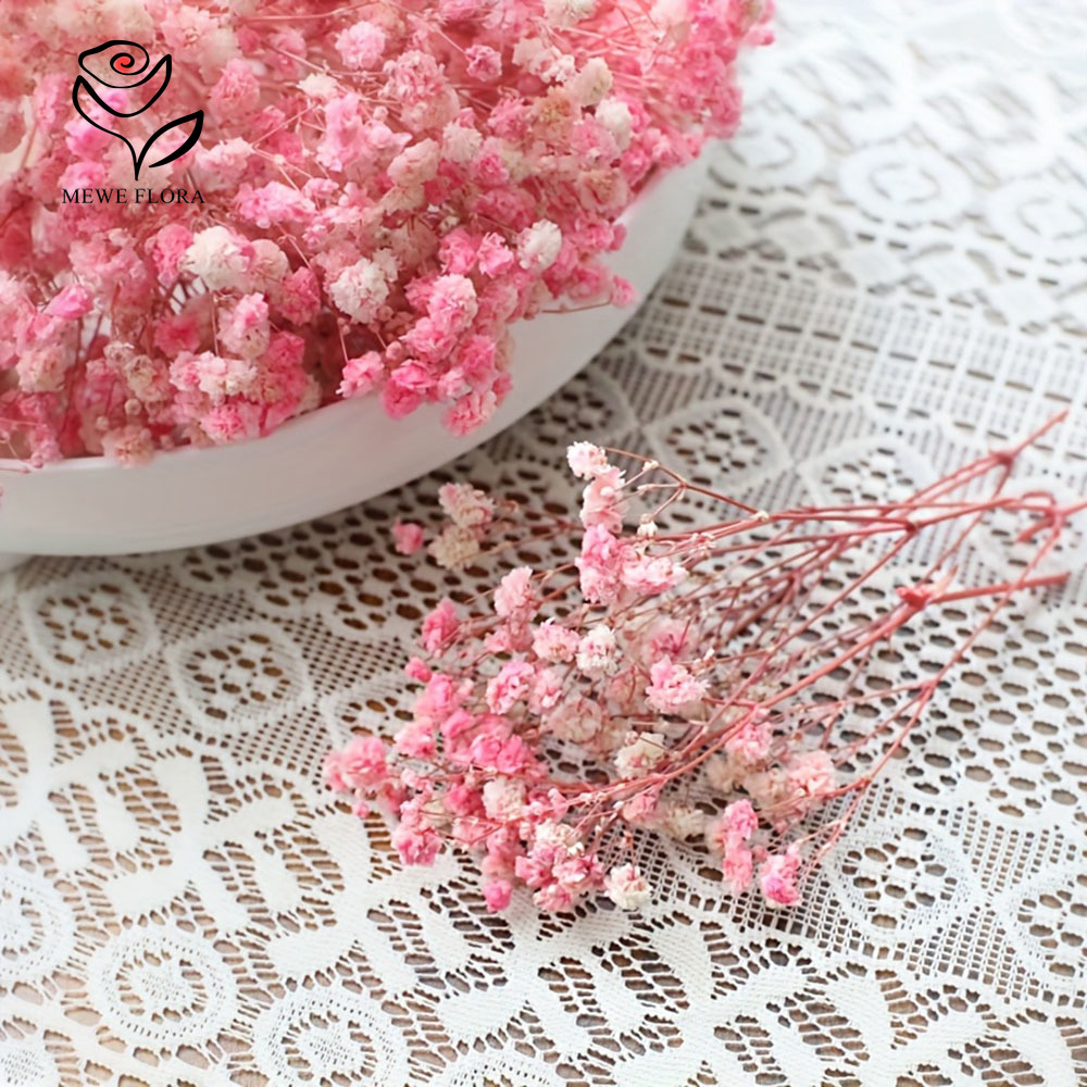 100 Small Branch Dried Baby's  - Dried Flower Bunch review and price